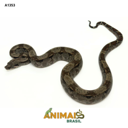 Jiboia Bci (Boa constrictor...