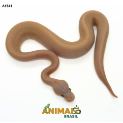 Píton bola - (Python regius) - A1541- Banana Pinstripe Black Pastel