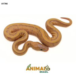 Píton bola - (Python regius) - A1766 - Banana Pinstripe Leopard
