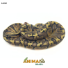 Píton bola - (Python regius) - A1642 - Lesser Pastel GHI
