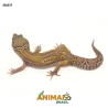 Gecko (Lagartixa Leopardo) - Em337 - Mack Snow Tremper Jungle