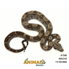 Jiboia Bci (Boa constrictor imperator) - A1340 - COMUM