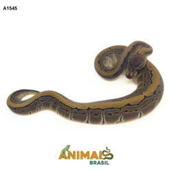 Píton bola - (Python regius) - A1545 - Pinstripe