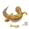 Gecko (Lagartixa Leopardo) - Em389 - Tremper Jungle