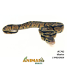 Píton bola - (Python regius) - A1743 - Pastel