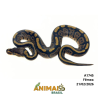 Píton bola - (Python regius) - A1745 - Black Pastel