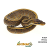 Píton bola - (Python regius) - A1834 - Pinstripe