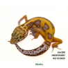 Gecko (Lagartixa Leopardo) - Em390 - Tremper Tangerine Jungle