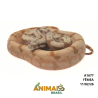 Jiboia Bci (Boa constrictor imperator) - A1677 - Super Hipo Reduced Pastel