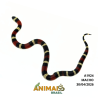 Milk Snake Campbelli (Lampropeltis triangulum) - A1924