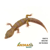 Gecko (Lagartixa Leopardo) - Em315 - Mack Snow Bell