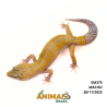 Gecko (Lagartixa Leopardo) - Em375 - Super Hypo Snake Eyes