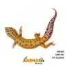 Gecko (Lagartixa Leopardo) - Em393 - Raptor Snake eyes