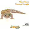 Gecko (Lagartixa Leopardo) - Em337 - Mack Snow Tremper Jungle
