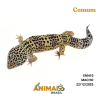 Gecko (Lagartixa Leopardo) - Em410 - Comum