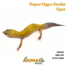 Gecko (Lagartixa Leopardo) - Em442 - Super Hypo Snake Eyes