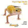 Gecko (Lagartixa Leopardo) - Em442 - Super Hypo Snake Eyes