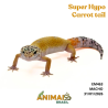 Gecko (Lagartixa Leopardo) - Em463 - Super Hypo Carrot tail
