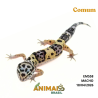 Gecko (Lagartixa Leopardo) - Em558 - Comum