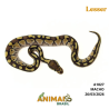Píton bola - (Python regius) - A1827 - Lesser
